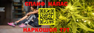 дживик Будённовск
