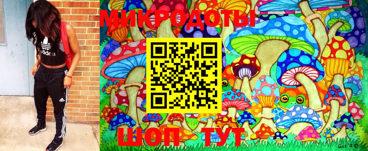 Псилоцибиновые грибы MAGIC MUSHROOMS Полысаево